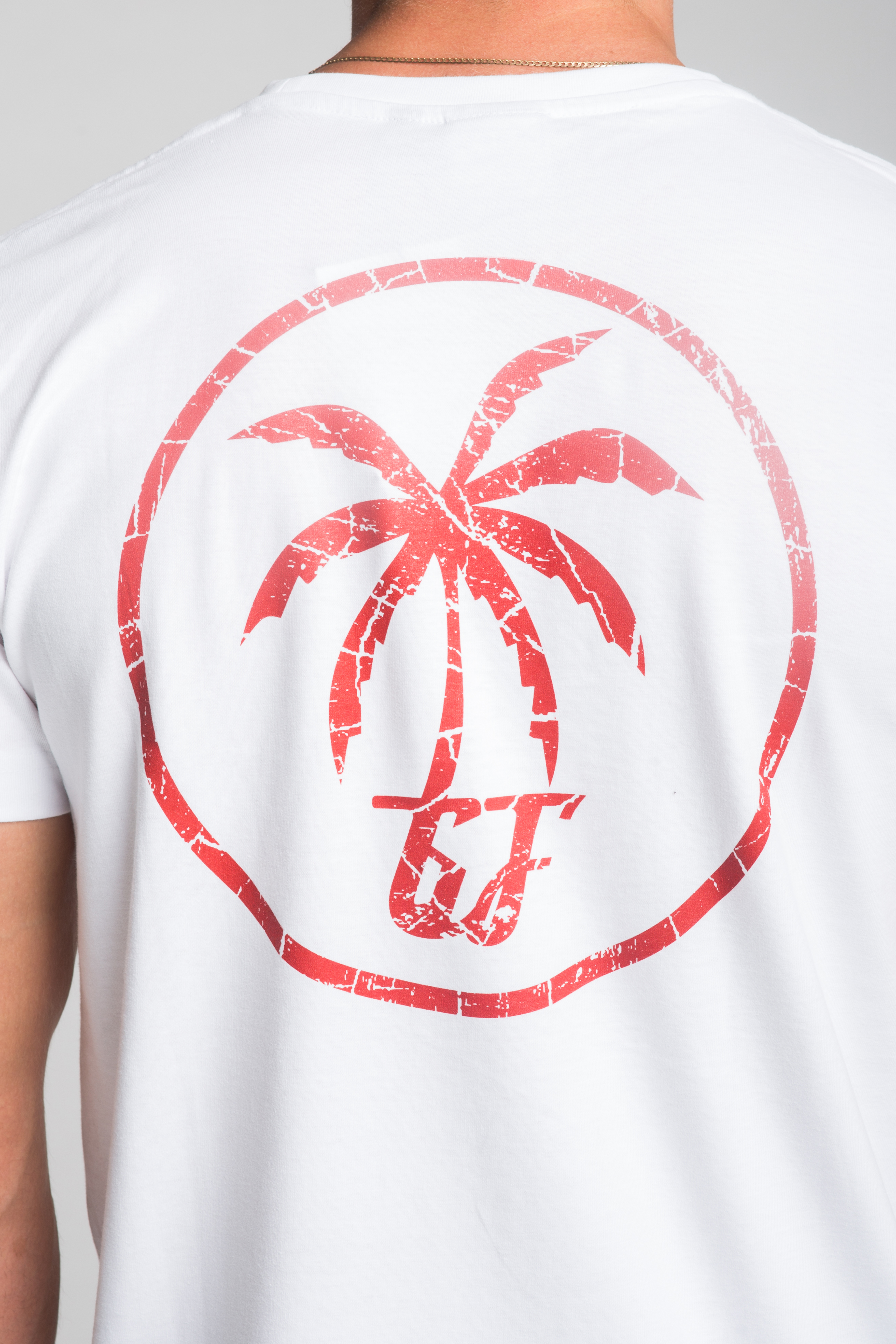 Koszulka męska Grill-Funk Big Palm Tree - biała